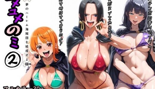 ワンピースエロ漫画｜ユメユメのミ〜夢のハーレム海賊団を結成せよ〜 2【ぴんぴん丸】