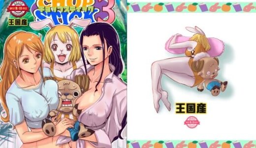 ワンピースエロ漫画｜CHOP STICK3【王国産】